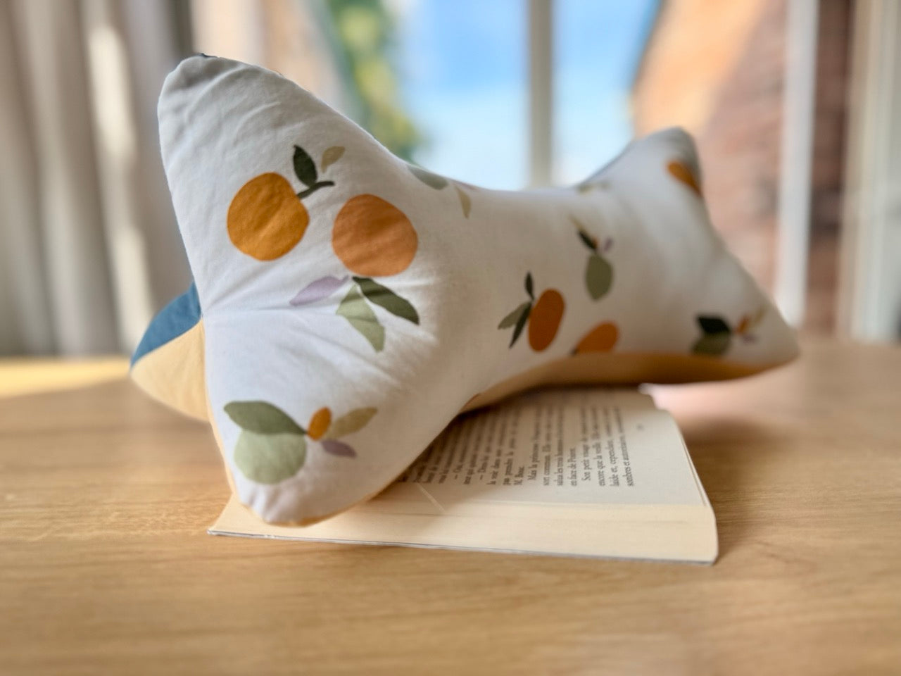 Coussin de lecture