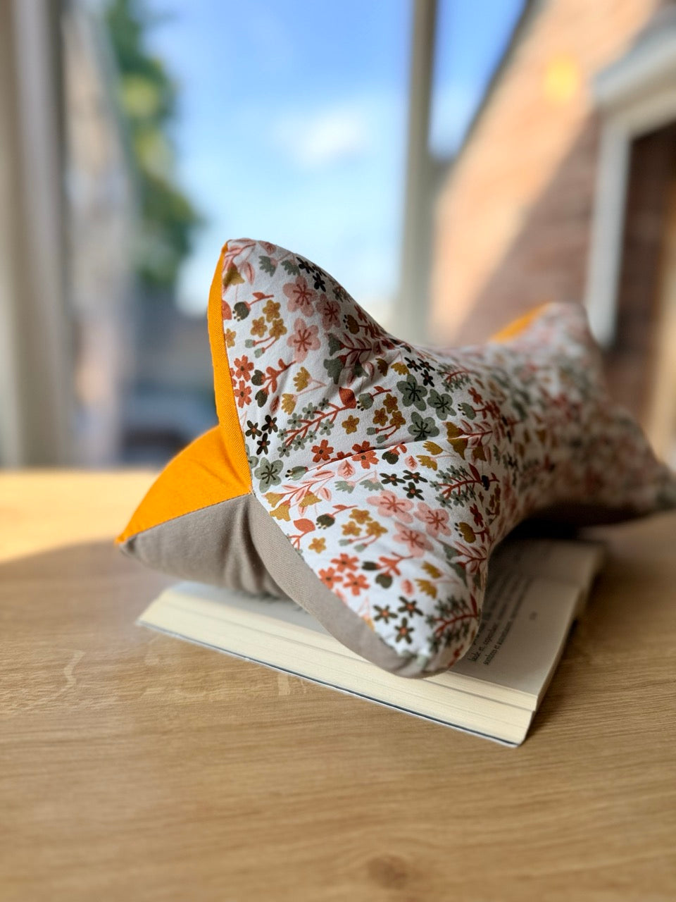 Coussin de lecture